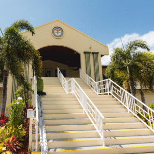 University of Medicine & Health Sciences